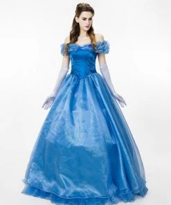 Hallowitch Costumes Adult Cinderella Dress Costume