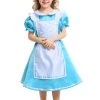 Hallowitch Costumes Girls' Alice In Wonderland Dress Costume
