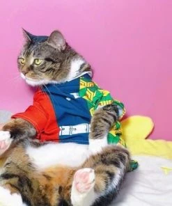 Hallowitch Costumes Demon Slayer Tomioka Giyu Costume For Cats And Small Dogs