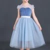 Hallowitch Costumes Girls' Frozen Inspired Elsa Dress For Kids