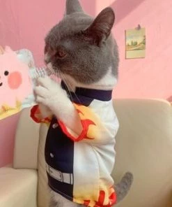 Hallowitch Costumes Kyojuro Rengoku Kimono Costume For Cat And Small Dogs Demon Slayer