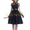 Hallowitch Costumes Women's Halloween Witch Dress And Hat Costume For Adults
